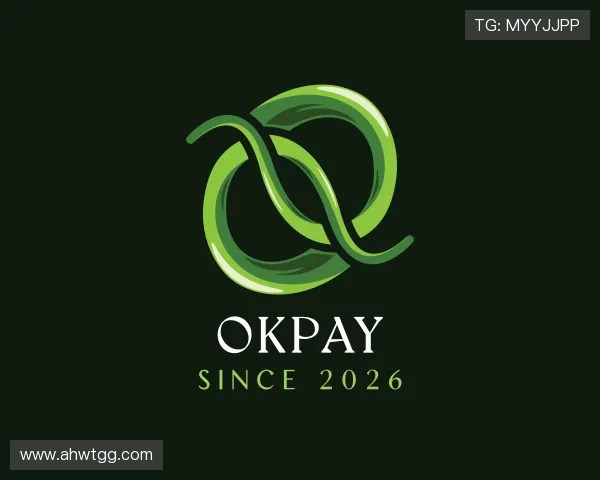 解读OKPAY